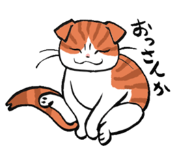 I love Scottishfold. sticker #8585922