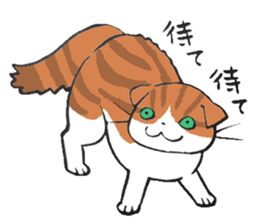 I love Scottishfold. sticker #8585923