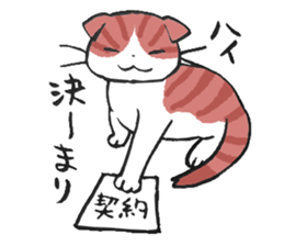 I love Scottishfold. sticker #8585926
