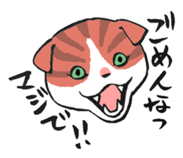 I love Scottishfold. sticker #8585934