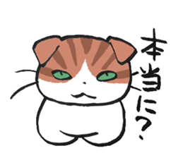 I love Scottishfold. sticker #8585937