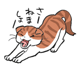 I love Scottishfold. sticker #8585939