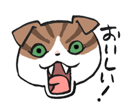 I love Scottishfold. sticker #8585940