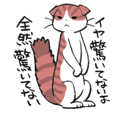 I love Scottishfold. sticker #8585943