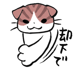 I love Scottishfold. sticker #8585945