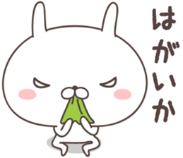 Pretty rabbit -Kagoshima- sticker #8587089