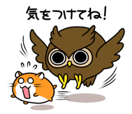Owl's sticker sticker #8589232