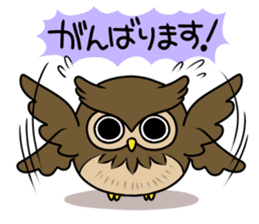 Owl's sticker sticker #8589236