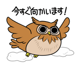 Owl's sticker sticker #8589257