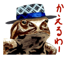 the animal collection sticker #8589555