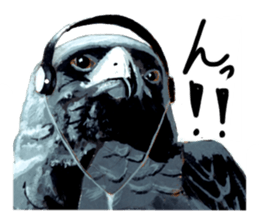 the animal collection sticker #8589559