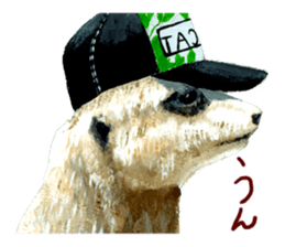 the animal collection sticker #8589566