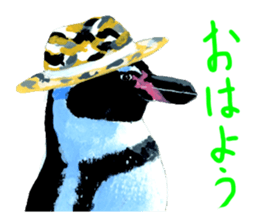 the animal collection sticker #8589568