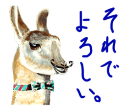 the animal collection sticker #8589576