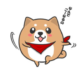 Circle Shiba dog sticker #8590324