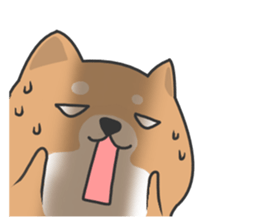 Circle Shiba dog sticker #8590330