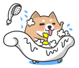 Circle Shiba dog sticker #8590336