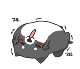 Circle Shiba dog sticker #8590337