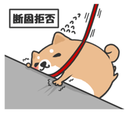 Circle Shiba dog sticker #8590344