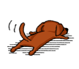 Doxy sticker #8590429