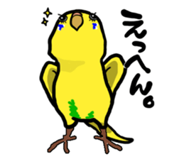 COCO is Budgerigar sticker #8592750