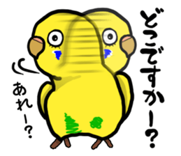 COCO is Budgerigar sticker #8592764