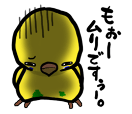 COCO is Budgerigar sticker #8592765