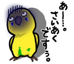 COCO is Budgerigar sticker #8592767