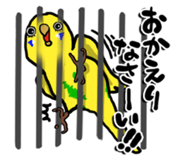 COCO is Budgerigar sticker #8592771