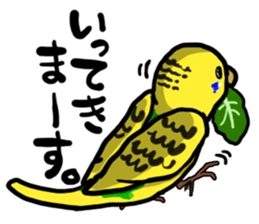 COCO is Budgerigar sticker #8592772