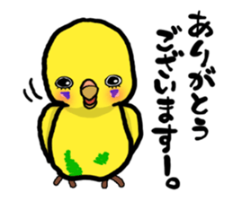 COCO is Budgerigar sticker #8592773