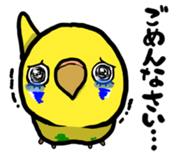 COCO is Budgerigar sticker #8592777