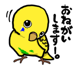 COCO is Budgerigar sticker #8592778