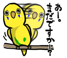 COCO is Budgerigar sticker #8592779