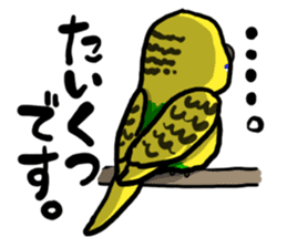 COCO is Budgerigar sticker #8592780