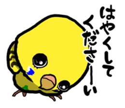 COCO is Budgerigar sticker #8592782