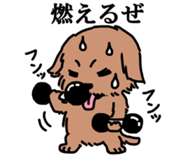 Norfolk & Norwich Terrier ver.3 sticker #8593634