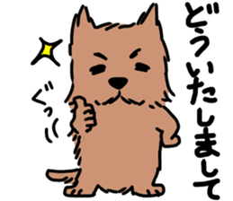 Norfolk & Norwich Terrier ver.3 sticker #8593636