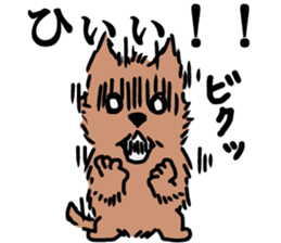 Norfolk & Norwich Terrier ver.3 sticker #8593643