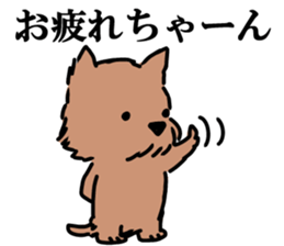 Norfolk & Norwich Terrier ver.3 sticker #8593653