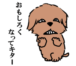 Norfolk & Norwich Terrier ver.3 sticker #8593656