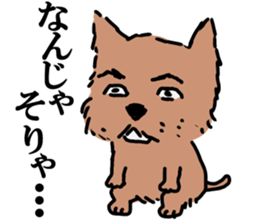 Norfolk & Norwich Terrier ver.3 sticker #8593660