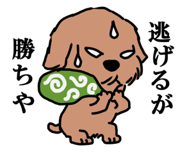 Norfolk & Norwich Terrier ver.3 sticker #8593664