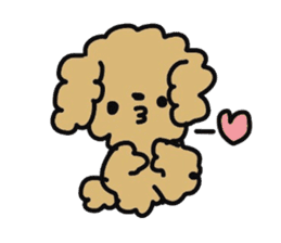 Toy poodle choa sticker #8594106