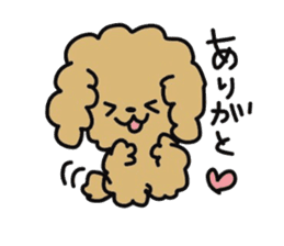 Toy poodle choa sticker #8594108