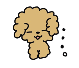 Toy poodle choa sticker #8594111