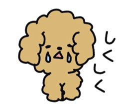 Toy poodle choa sticker #8594115