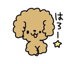 Toy poodle choa sticker #8594116