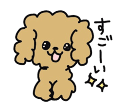 Toy poodle choa sticker #8594117