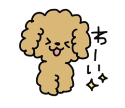 Toy poodle choa sticker #8594118